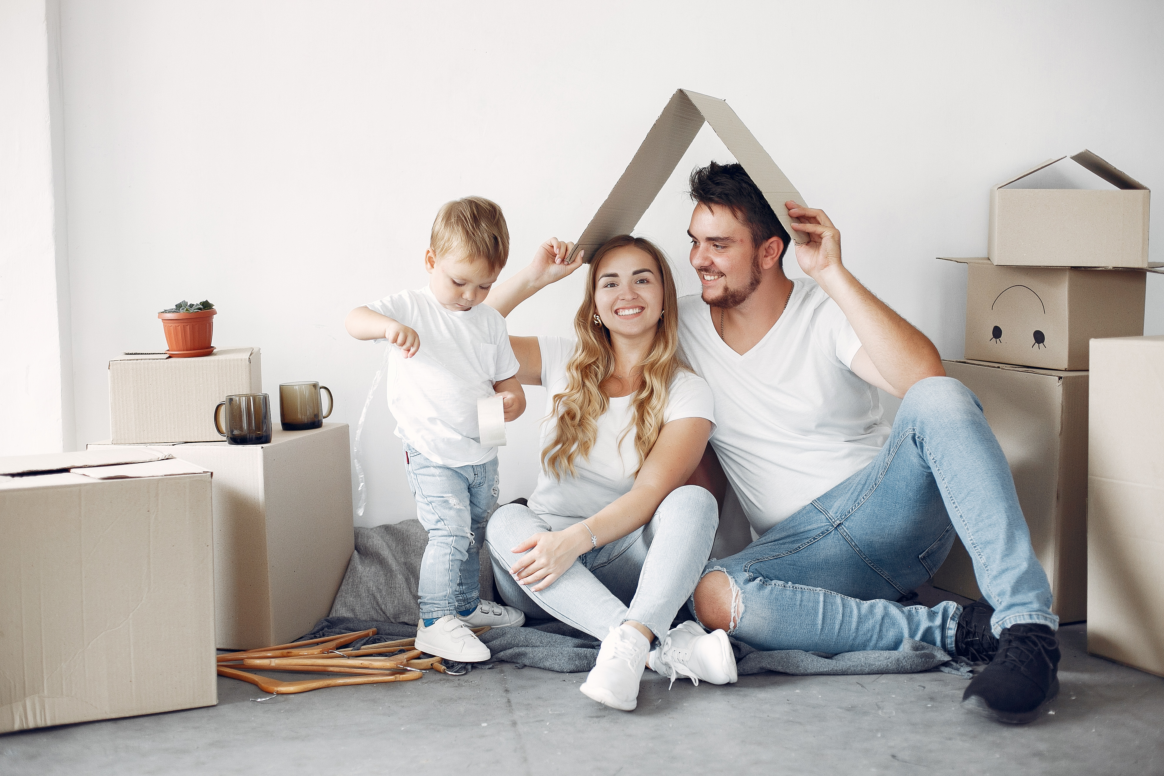tendances assurance habitation